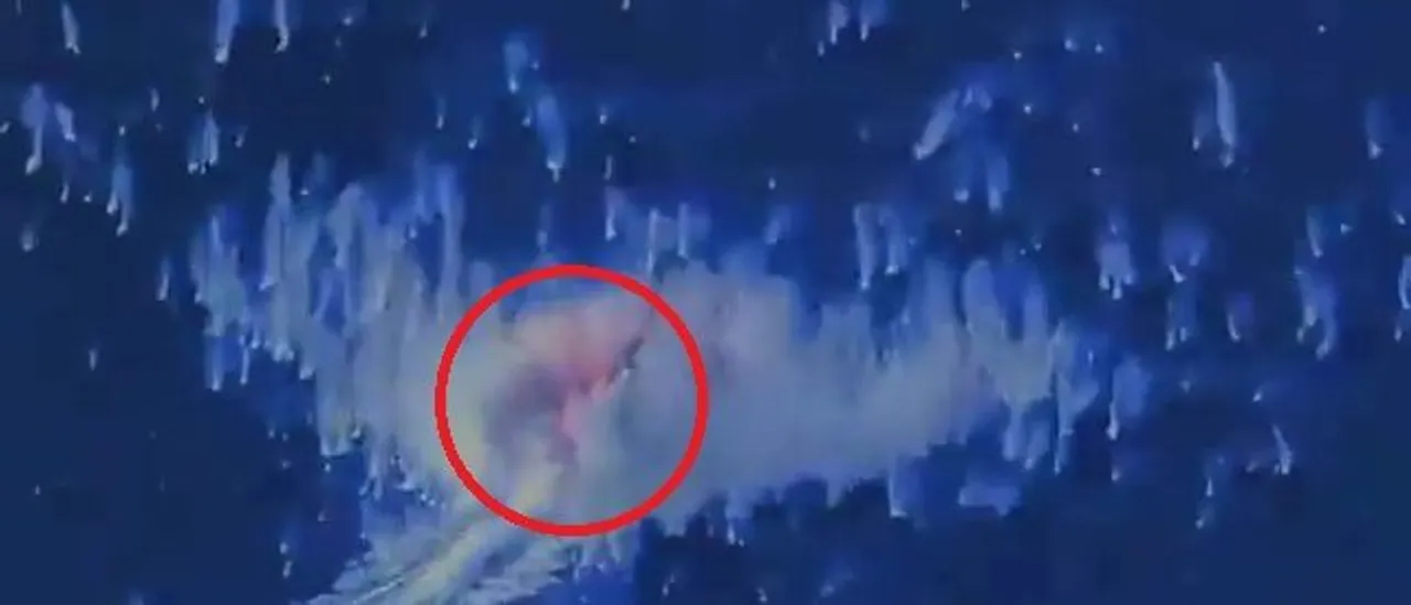 Another 'Narco-Trafficking' Boat Near Venezuela Destroyed by Trump's Administration