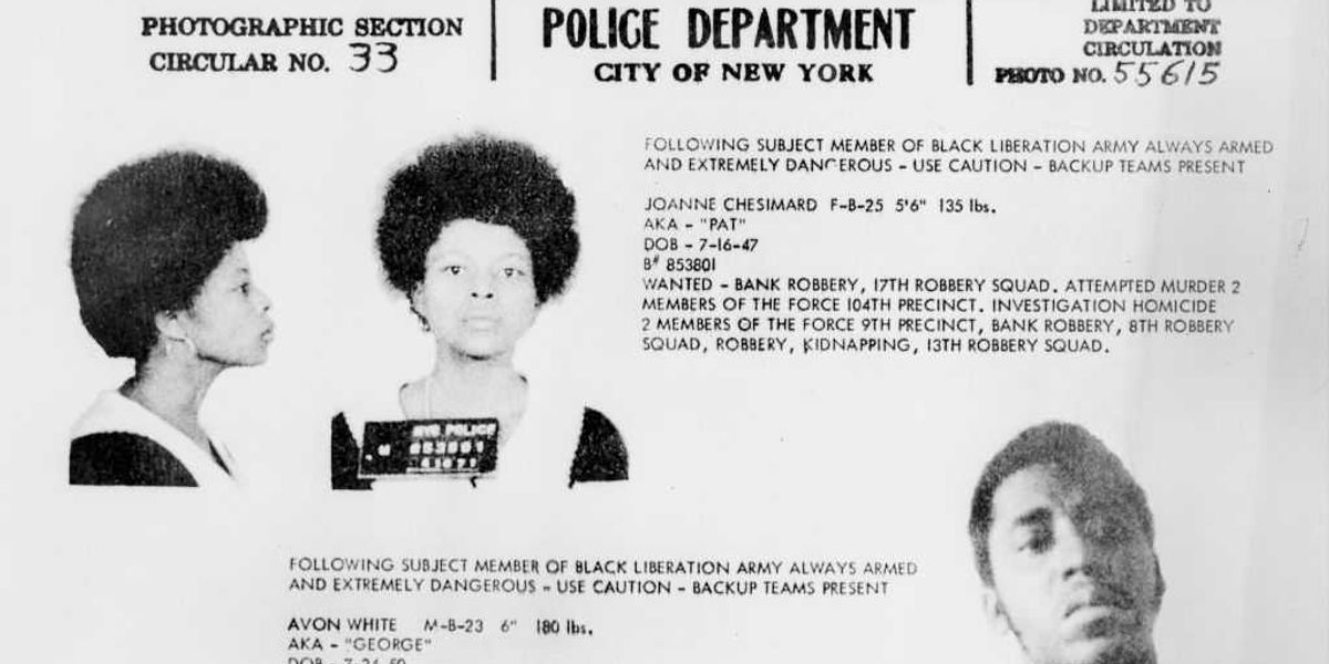 Assata Shakur and six others: A collection of America's leftist heroes