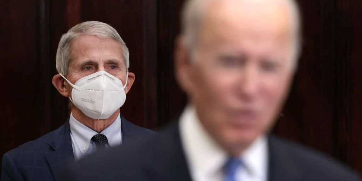 Attorney questioning Biden autopen pardons as campaign to overturn them gains momentum