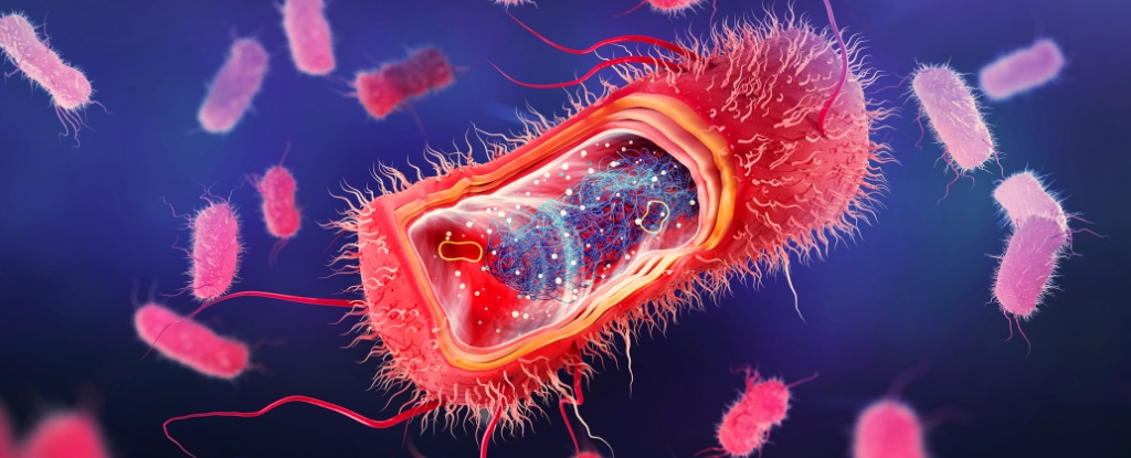 Bacteria in Our Gut Might Help Our Brains Relax and Sleep at Night