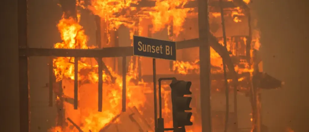 California’s Leaders Sparked the Fire Long Before the Unhinged Arsonist Did