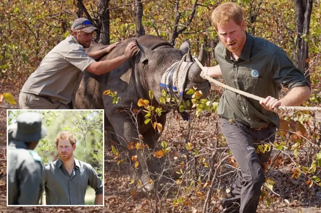 Charity associated with Prince Harry no longer allowed to oversee wildlife reserves in Chad