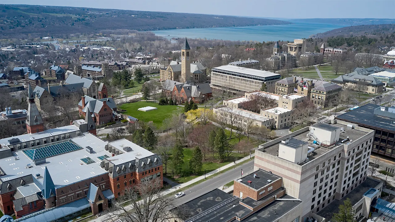 Cornell publication removes artwork featuring Nazi symbols and Star of David
