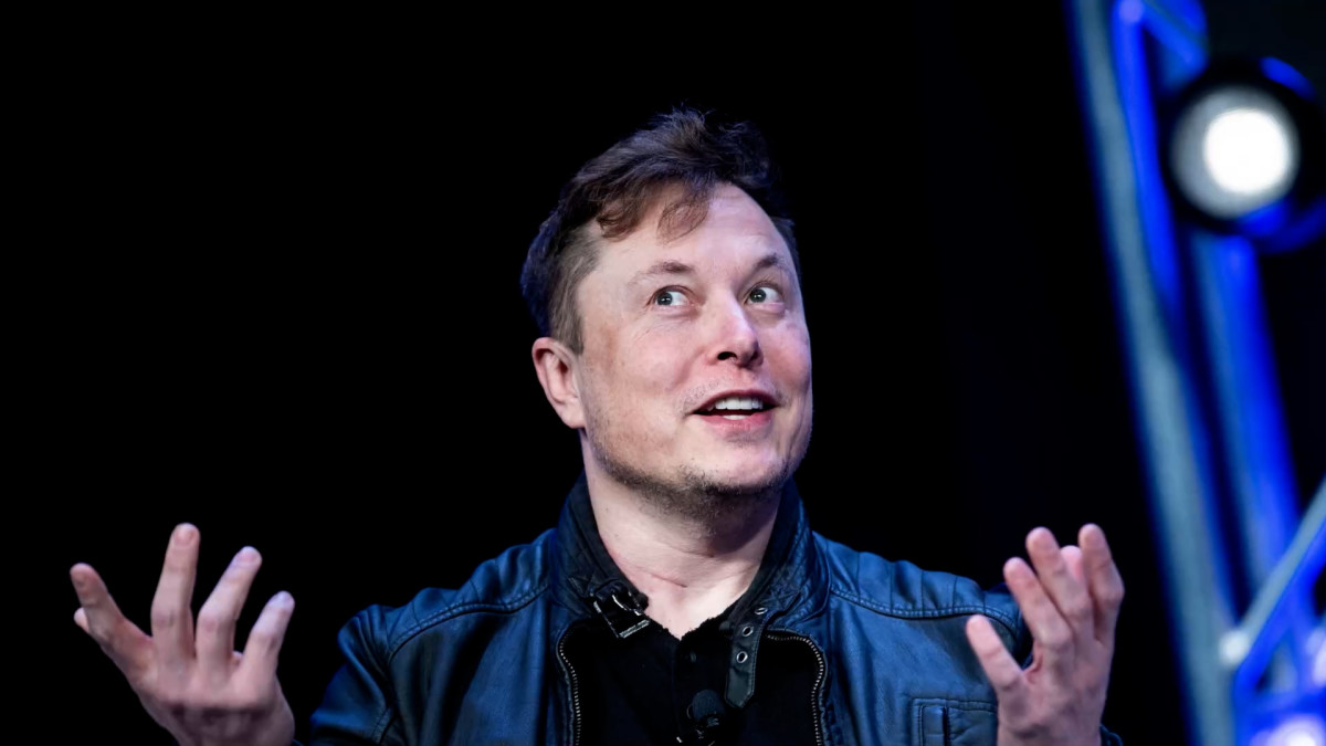 Cynthia Lummis reacts to Elon Musk's popular Bitcoin message.