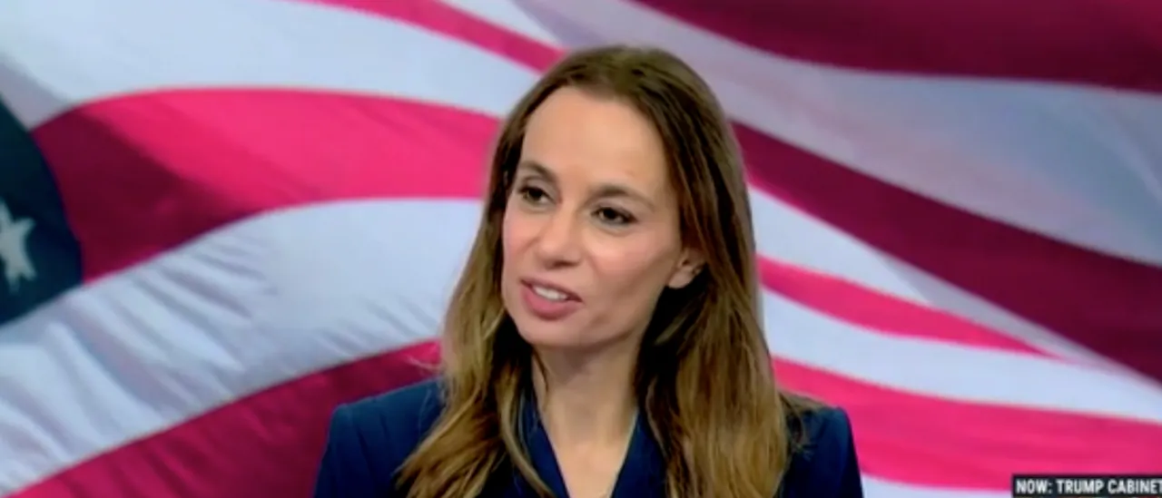 Democratic Strategist Claims Katie Porter Has Shown She Is 'Not Ready' To Lead California