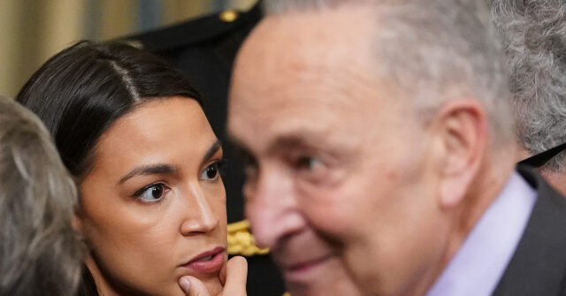 Democrats Are Hurting Everyday Americans for the Socialist Faction