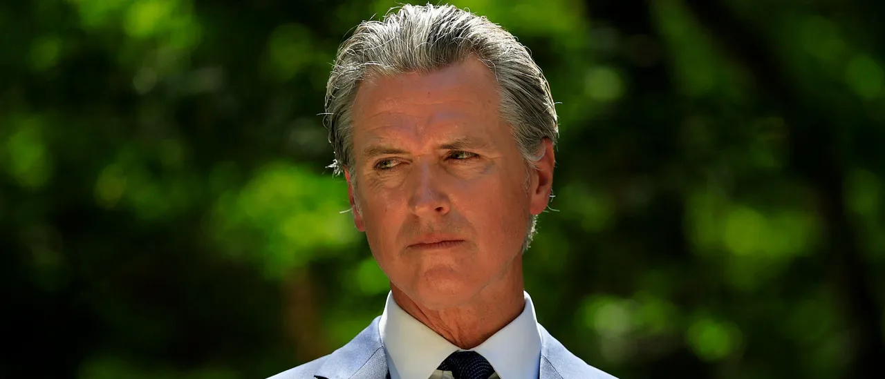 Democrats Should Avoid Bickering: Political Experts Frustrated by Billionaire's Attendance at Event