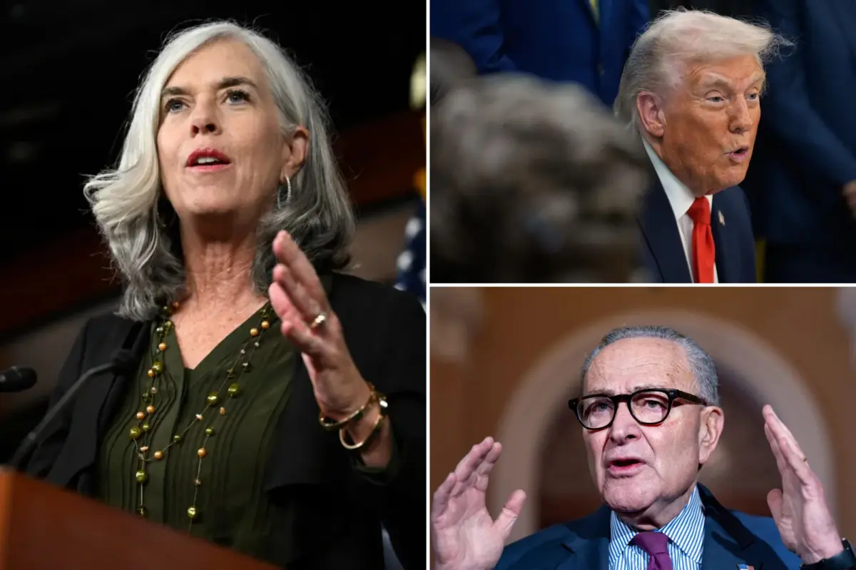 Democrats acknowledge extending the shutdown for strategic advantage as the November 1 enrollment deadline approaches.