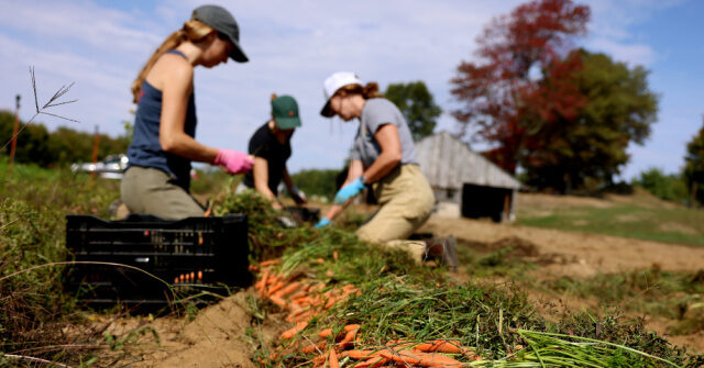 Democrats are undermining America's farmers during their shutdown.