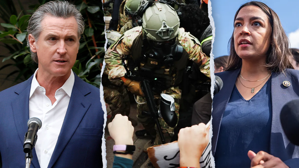 Democrats encouraged to 'stop supporting undocumented immigrants' after LA activist confronts ICE agents