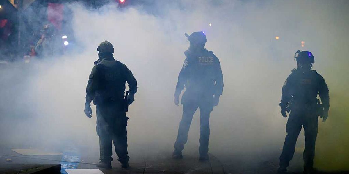 Democrats intend to include a 'master ICE tracker' on their website.