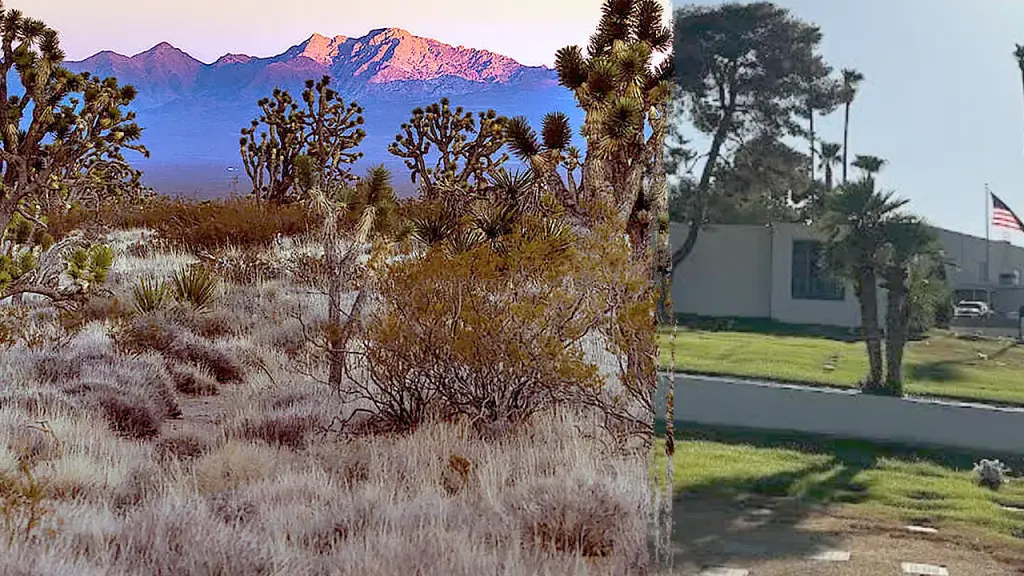 Discarded human ashes discovered in Nevada desert retrieved, raises investigation