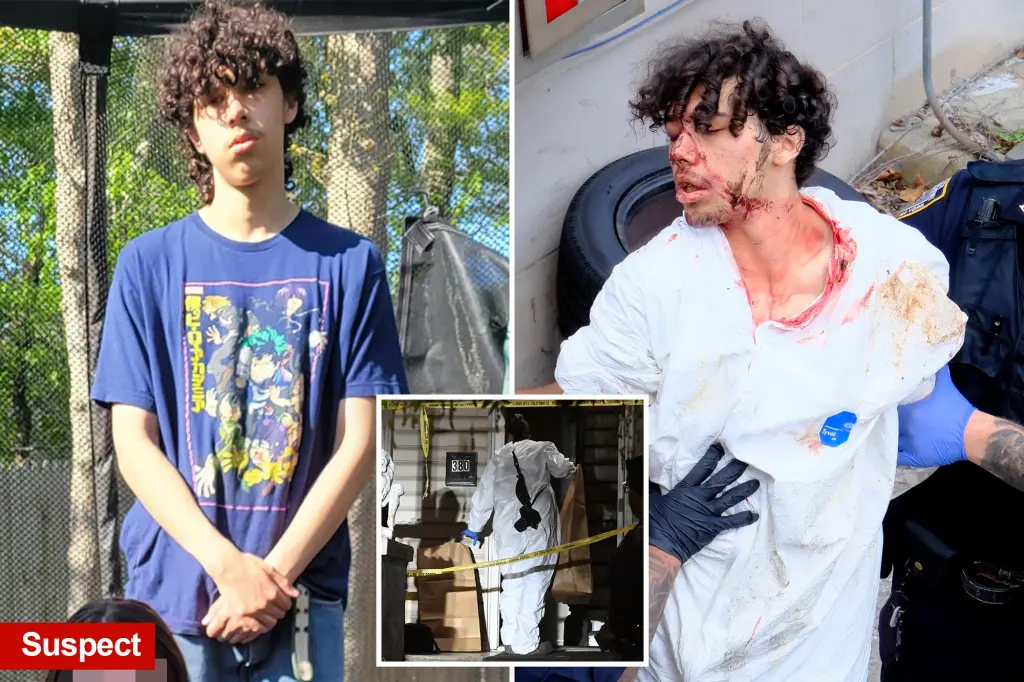 Distressed Staten Island teenager charged with beheading mother's partner reveals graphic confession details