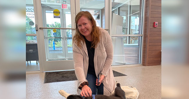 Dog That Escaped in Storm Located After 3 Months, 2,000 Miles Away