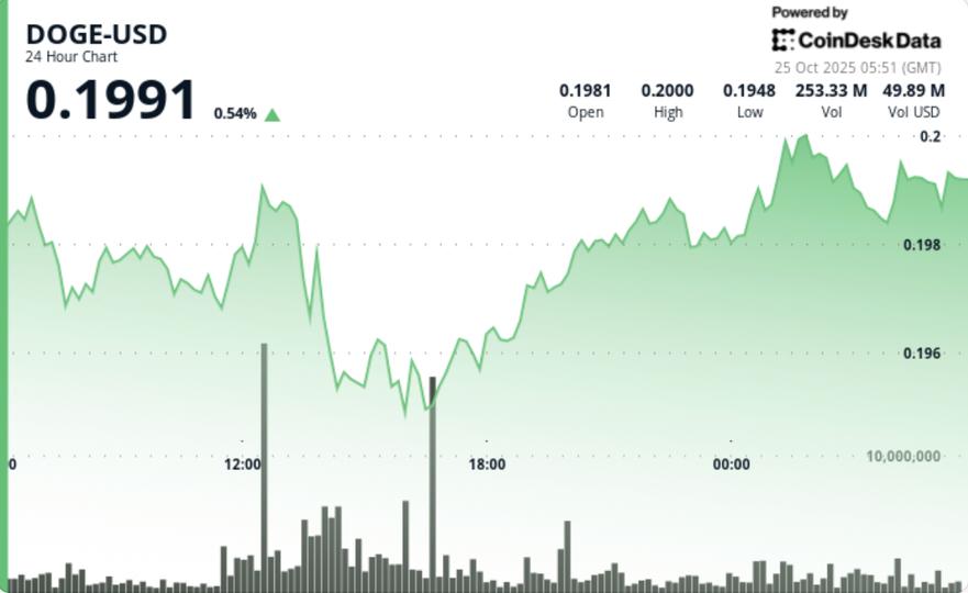 Dogecoin Reaches $0.20 as Trading Volume Surges Threefold, Indicates Positive Trend