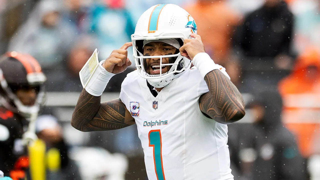 Dolphins in disarray, says divisive ex-NFL star.