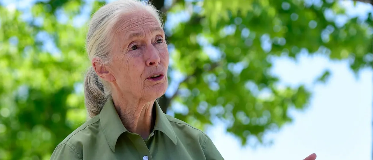 Dr. Jane Goodall's Cause of Death Reported as Heart Failure