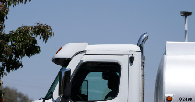 Driver's Licenses for Certain Undocumented Truckers Indicate 'No Name Provided'