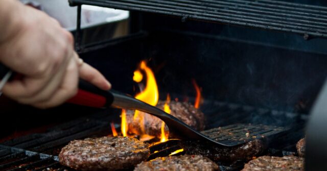 European Parliament Approves Ban on Meat-Free Labels Such as 'Veggie Burger'