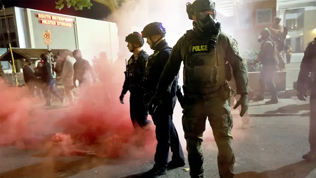 Ex-CNN journalist claims Portland is starting to look like a domestic takeover