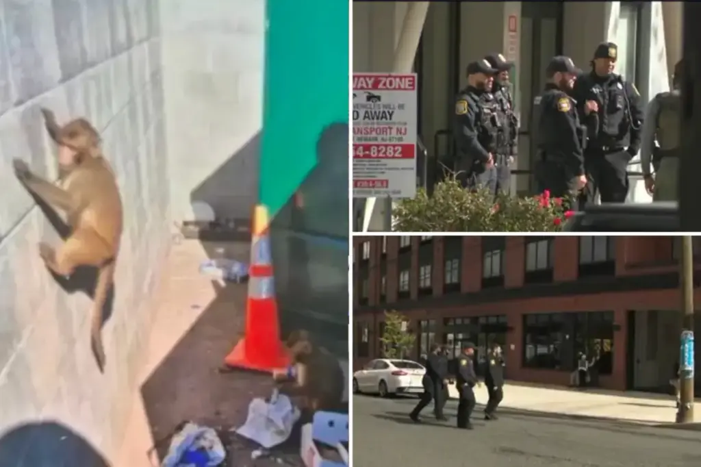 Fake news about monkeys led Newark police to search wildly for loose primates.