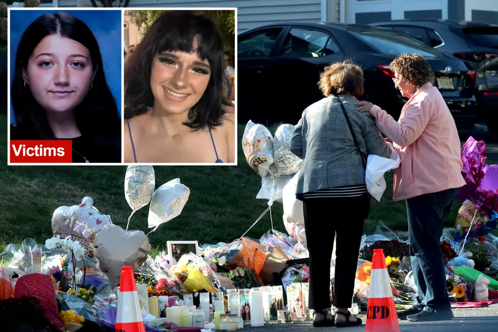 Families say 'cowardly' man accused of killing NJ teens in hit-and-run plotted attack 'for months'