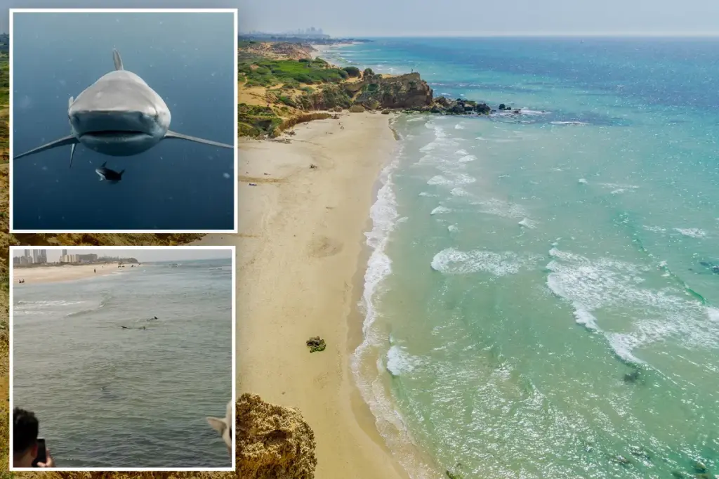 Father of four killed by sharks near Israel was attacked by a type thought to be safe.