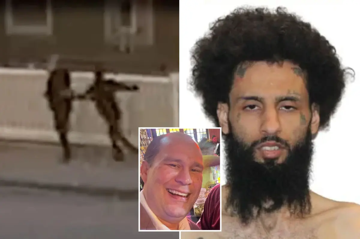 Former mayor brutally stabbed by assailant who surprised him outside his cannabis store: video