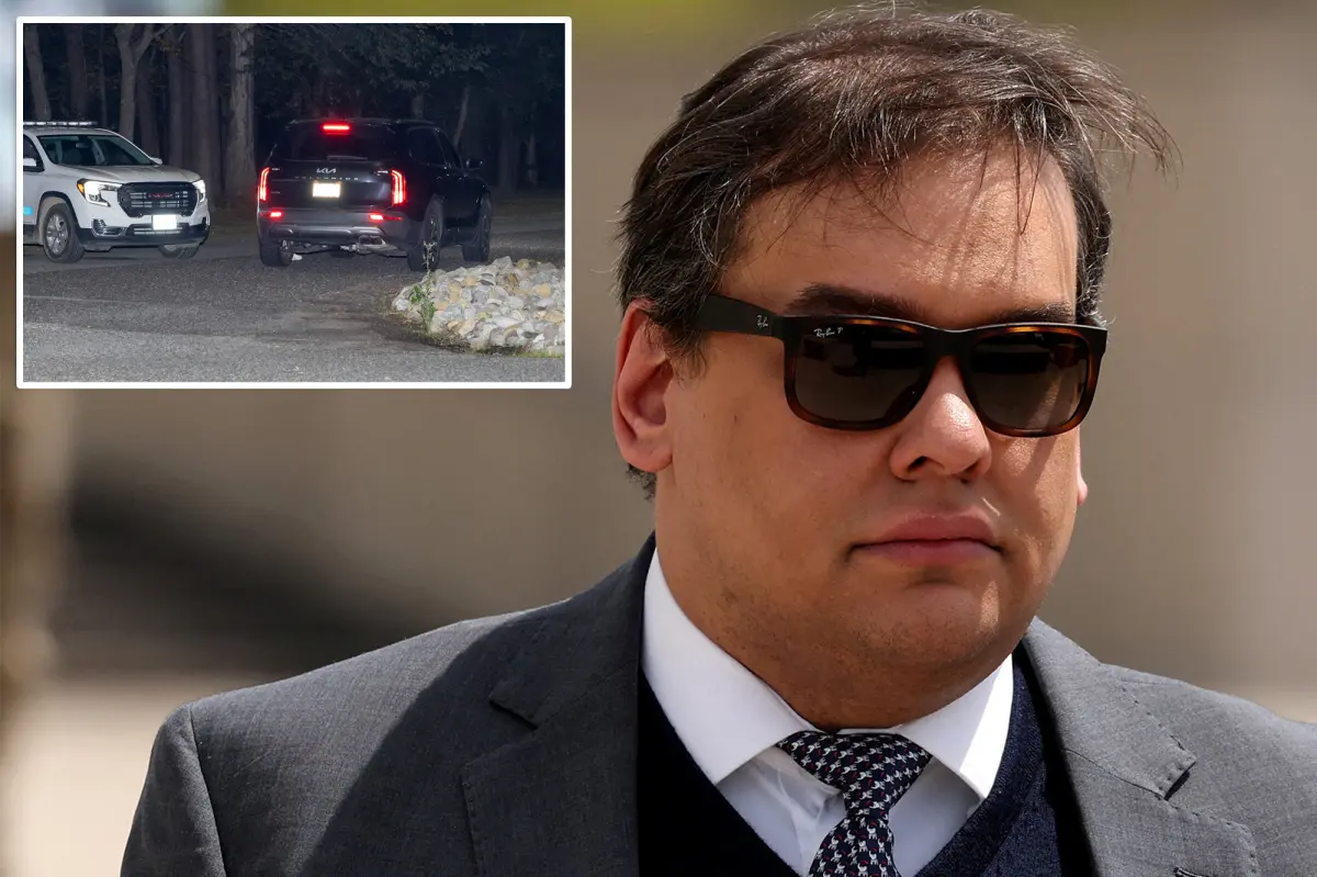 George Santos expresses gratitude to Trump after his prison sentence is reduced.