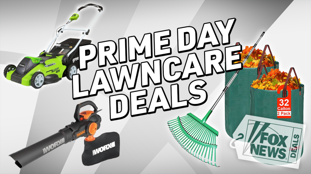 Get ready for leaf season with discounts on mowers, rakes, and more during the Prime Big Deal Days.