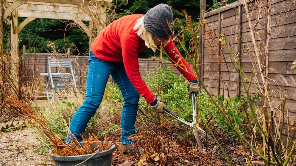 Get your garden ready for winter with these essentials