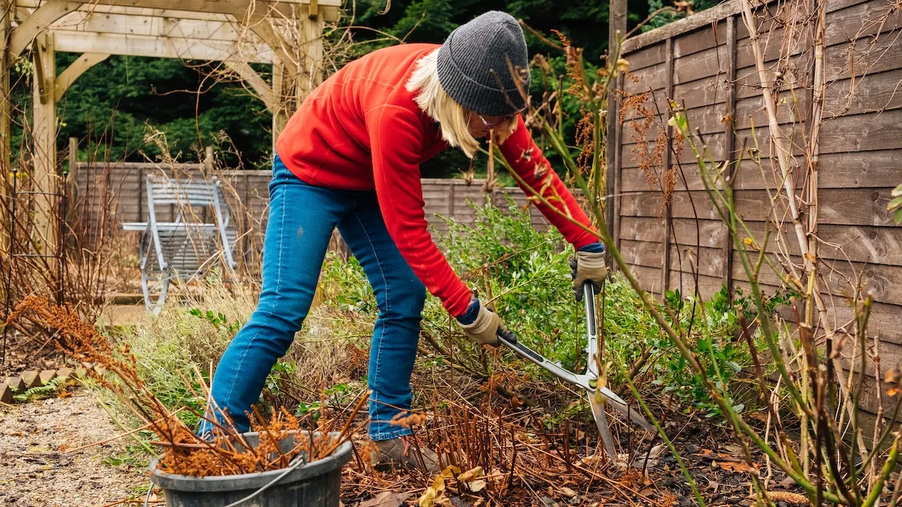 Get your garden ready for winter with these essentials