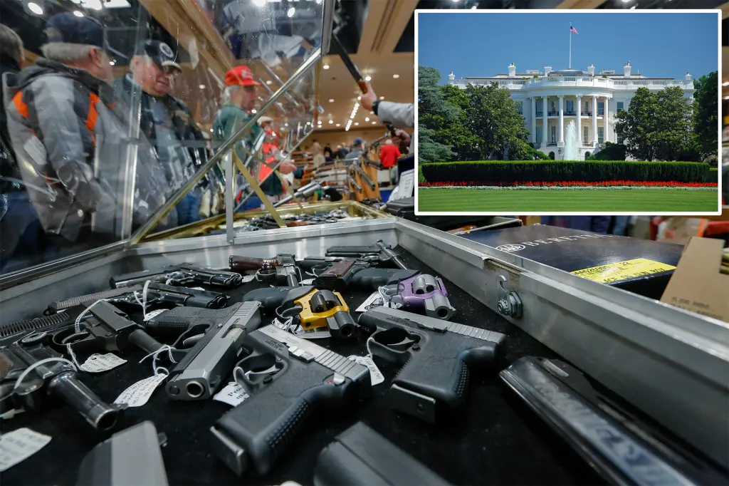 Government shutdown jeopardizes gun ownership, Republicans caution