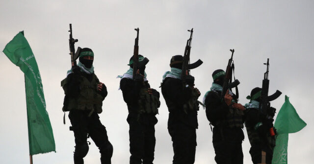 Hamas Accepts Ceasefire in Gaza and Could Free All Hostages