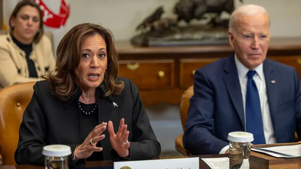Harris questioned about her worries regarding Biden and why she hasn't discussed them with him.