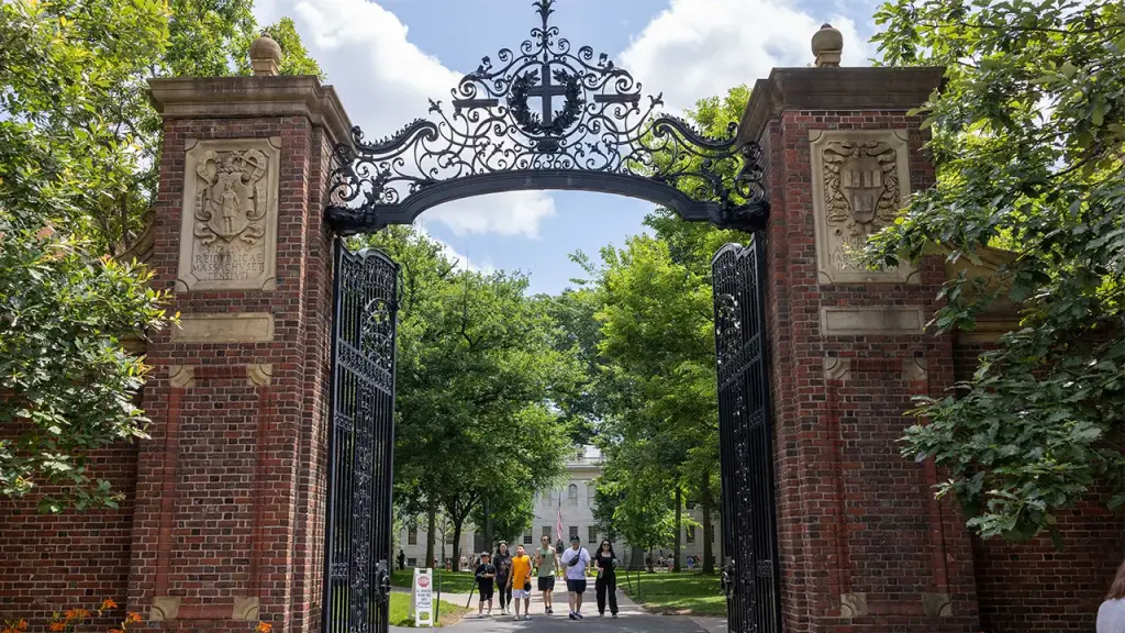 Harvard offers DEI training on bias and privilege for $13,000.