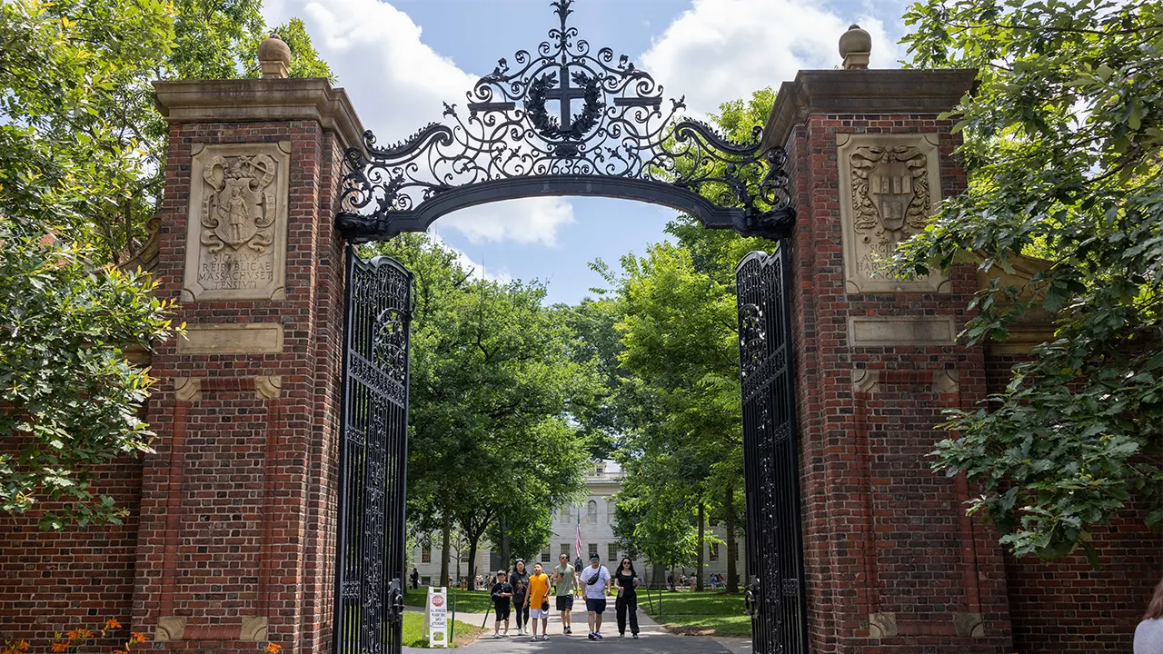 Harvard offers DEI training on bias and privilege for $13,000.