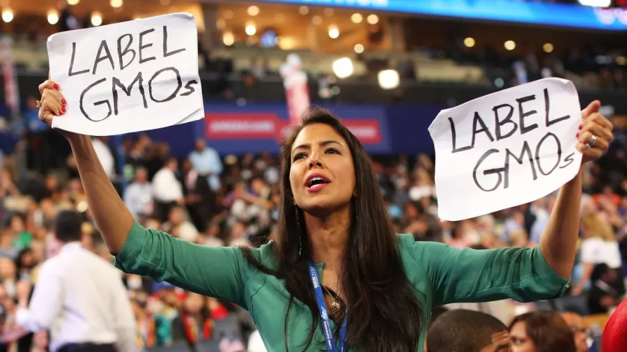 Health advocates intensify efforts against processed foods during the MAHA movement