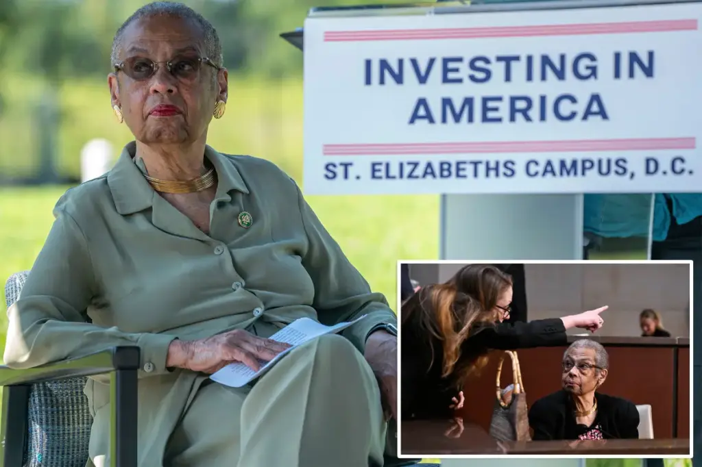 House member Eleanor Holmes Norton, 88, loses $4,000 to a scam and shows 'early signs of dementia'