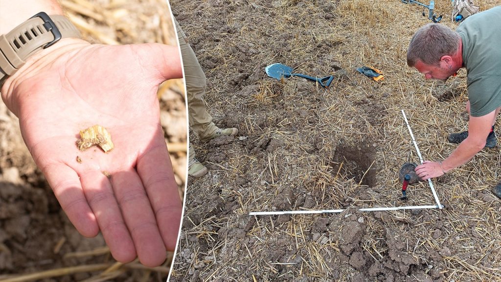 Hundreds of Celtic gold coins found in archaeological excavation in the Czech Republic