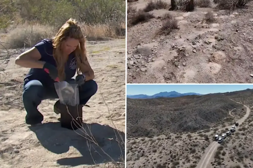 Hundreds of cremated human remains found and retrieved from the Nevada desert