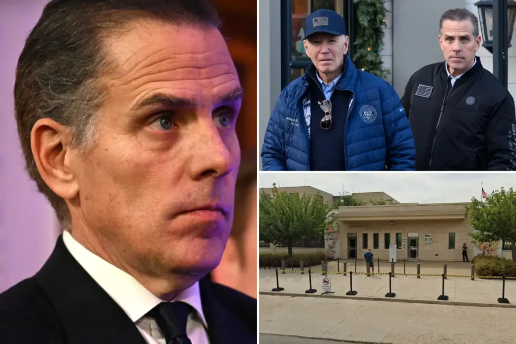Hunter Biden associated with plan to sell land near US Embassy in Romania