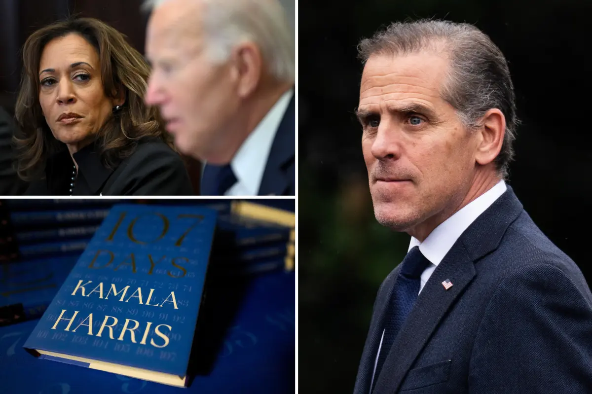 Hunter Biden criticizes Kamala Harris' 'difficult' book, suggests Joe chose her due to her race.