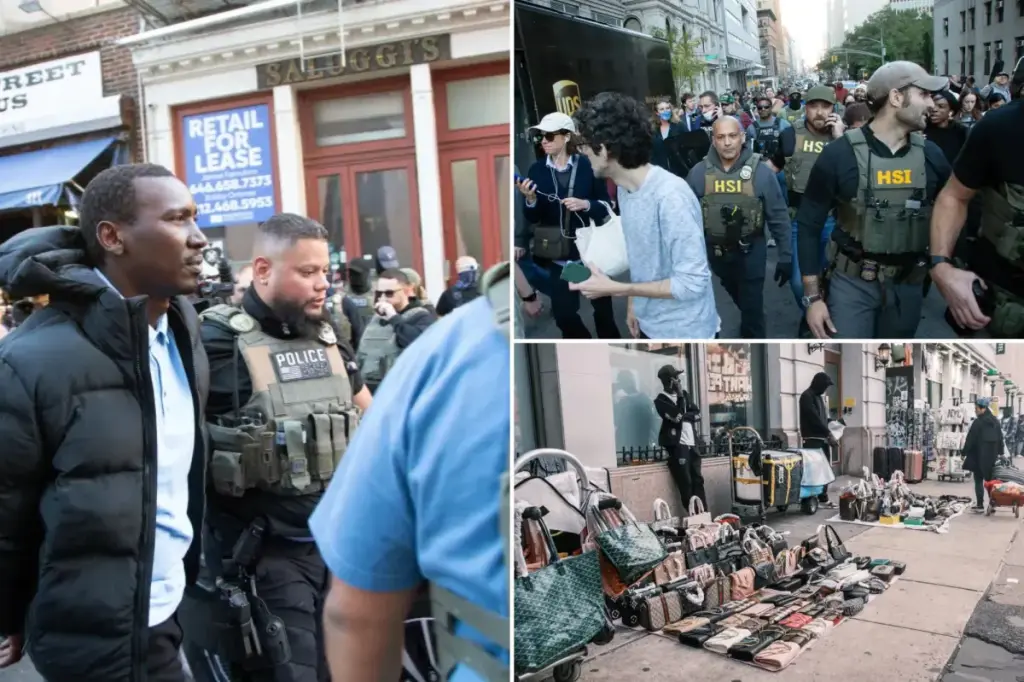 ICE arrests group of undocumented migrants with troubling criminal records in NYC operation