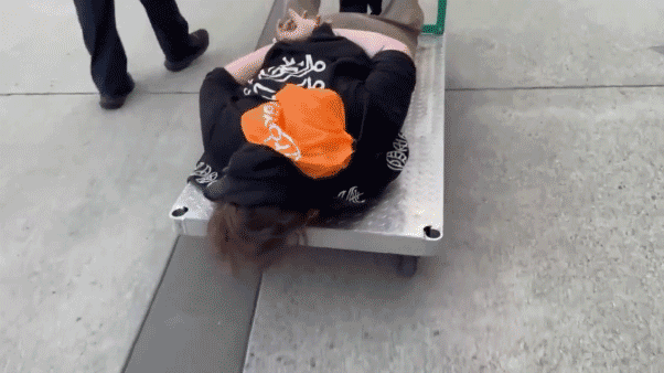 ICE shares popular video of suspect on cart featuring Chamillionaire song