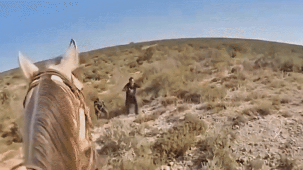 Illegal immigrant caught on video being arrested by Texas border patrol on horseback