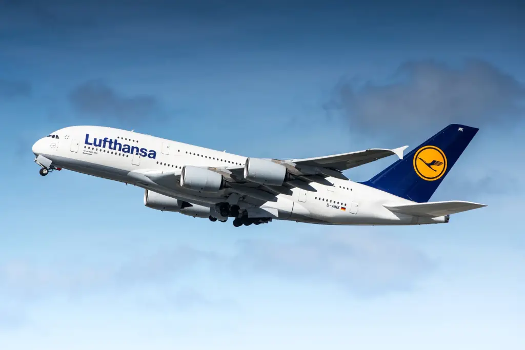 Indian citizen accused of stabbing teenagers on Lufthansa flight