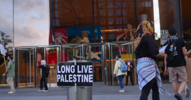 Influencer Who Labeled Trump 'Dementia-Addled' Supports Violent Rioters