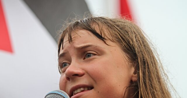 Israeli Government Dismisses Greta Thunberg's Claims About Reported Jail Conditions as False.