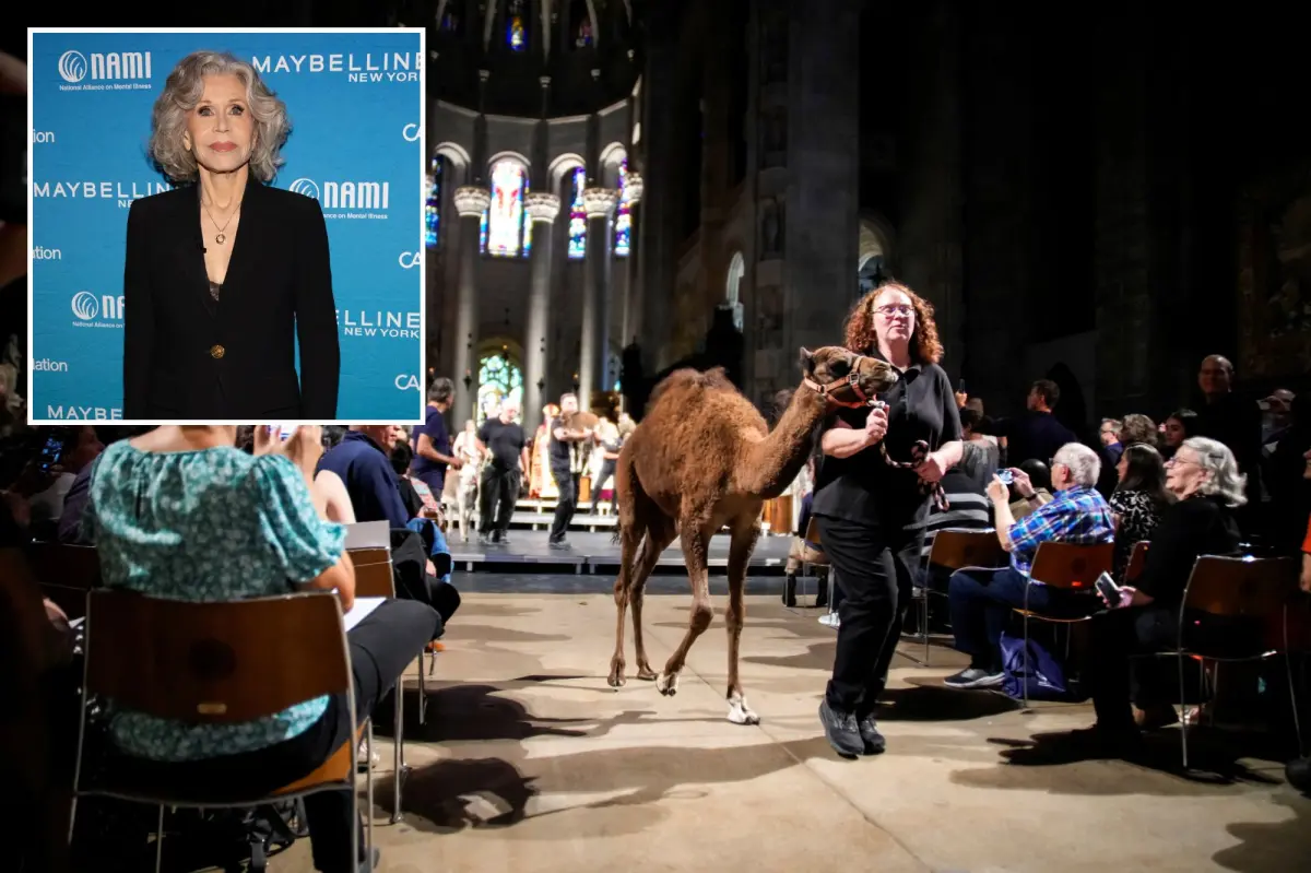 Jane Fonda appears at New York City's yearly animal blessing event and then enjoys some fried chicken from Harlem.
